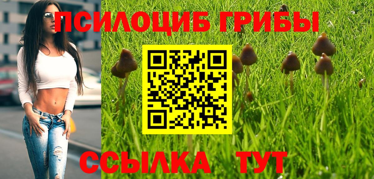 Псилоцибиновые грибы прущие грибы Пенза